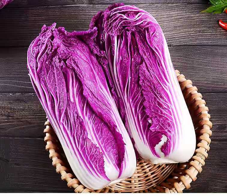 内黄县紫白菜  种子，营养丰富，富含花青素