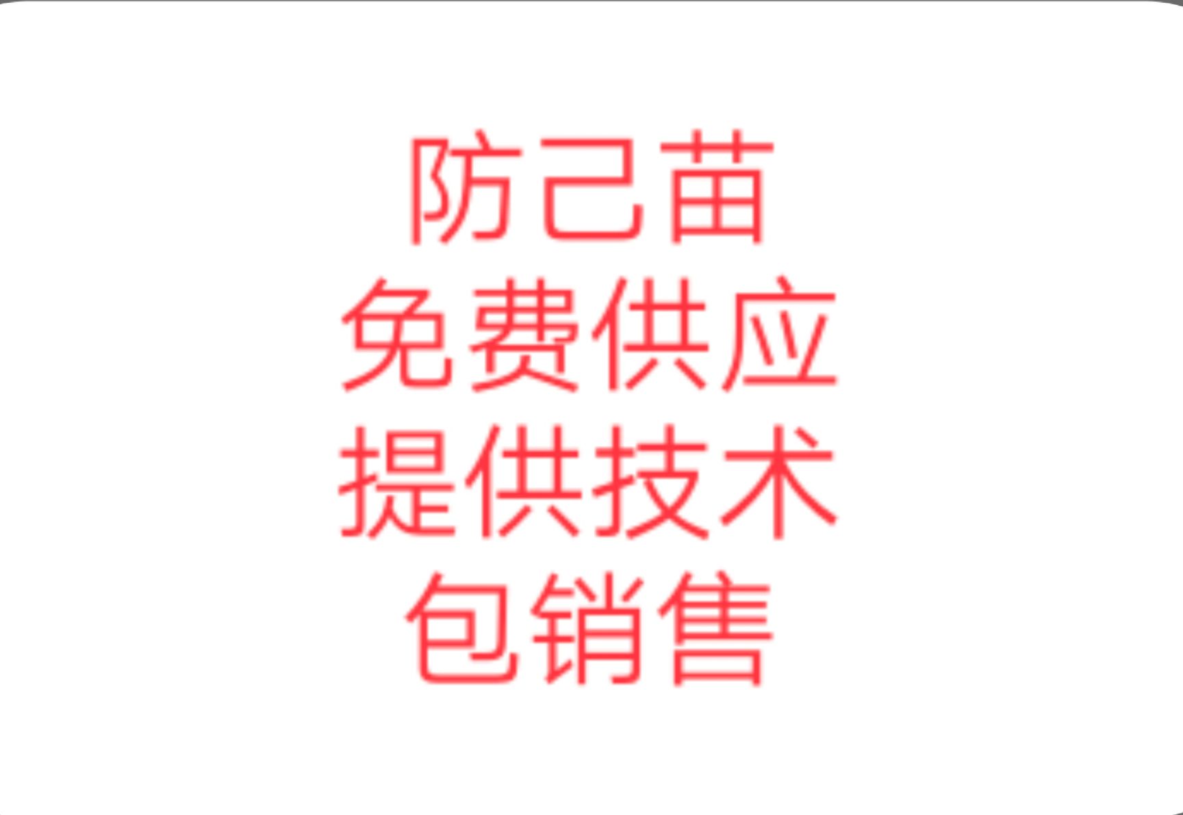 防己种子  免费供应防己种苗，订单合作种植，欢迎咨询
