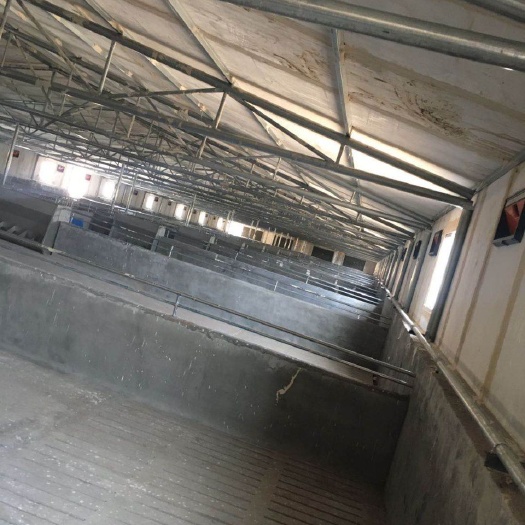 献县养殖大棚  全国承建玻璃钢保温养殖鸡舍，鸭舍，猪舍
