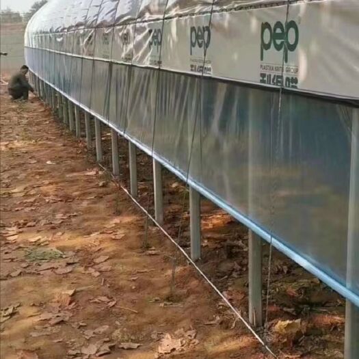 天津钢管大棚 