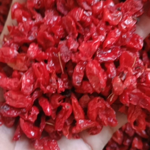 栾川县山茱萸  山萸肉河南产地直供，一手货源，好货不等人