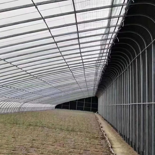天津钢管大棚 价格公道，质量有保障。