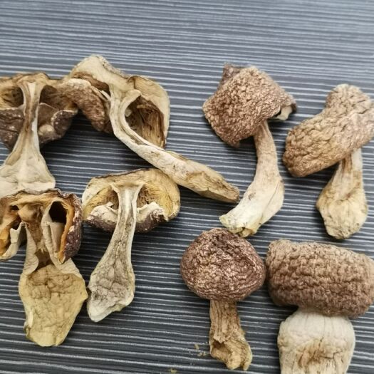 铁岭县 东北黑土地姬松茸，每年一季，菇肉肥厚脆嫩，杏仁香味特浓