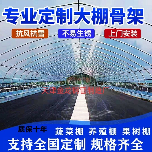 大棚骨架  钢管大棚！养殖大棚！蔬菜大棚 ！种植大棚