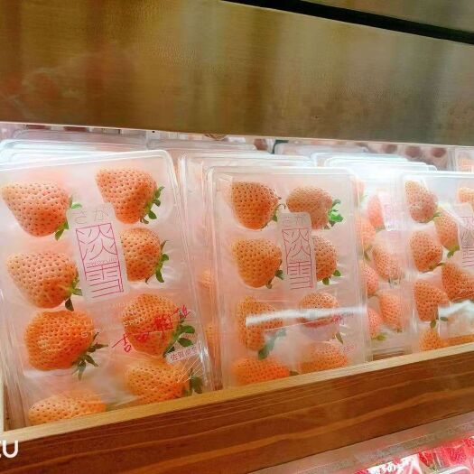平度市淡雪草莓
