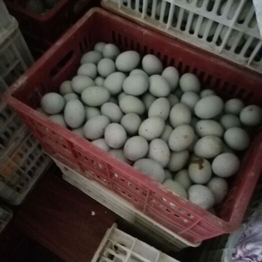  大量销售松花蛋糖心，硬心皮蛋心