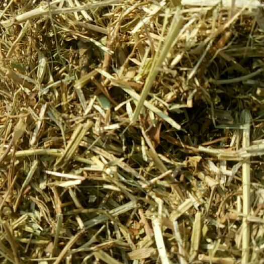 宁陵县 大量供应花生秧草垛，颜色鲜艳是养殖户的理想选择