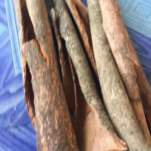 瑞丽市普通桂皮 缅甸桂皮