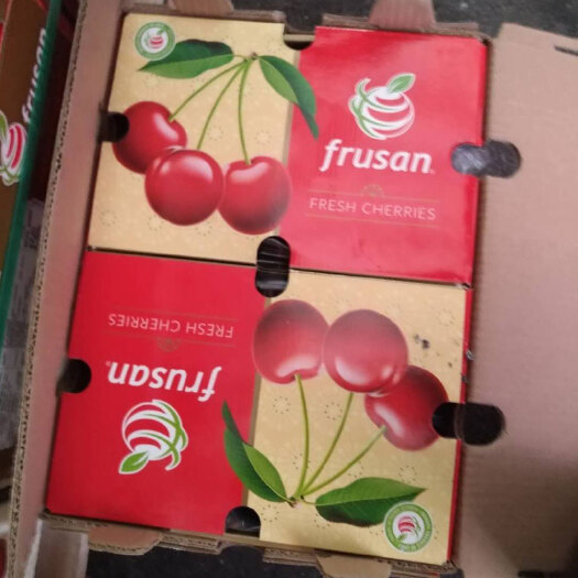 广州智利车厘子  智利空运车厘子桑提娜二合一礼品装现货 双j大果车厘子批发