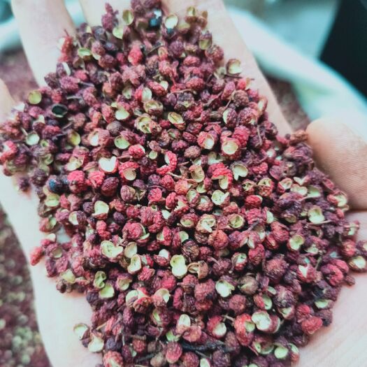 成都汉源花椒 一级 干花椒 