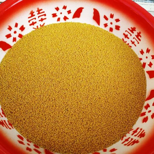 阳泉 新鲜去壳黄小米
