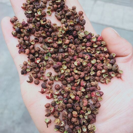 成都青花椒  云南金阳花椒 转红椒优惠24.5，一件起订，产地云南昭通，麻