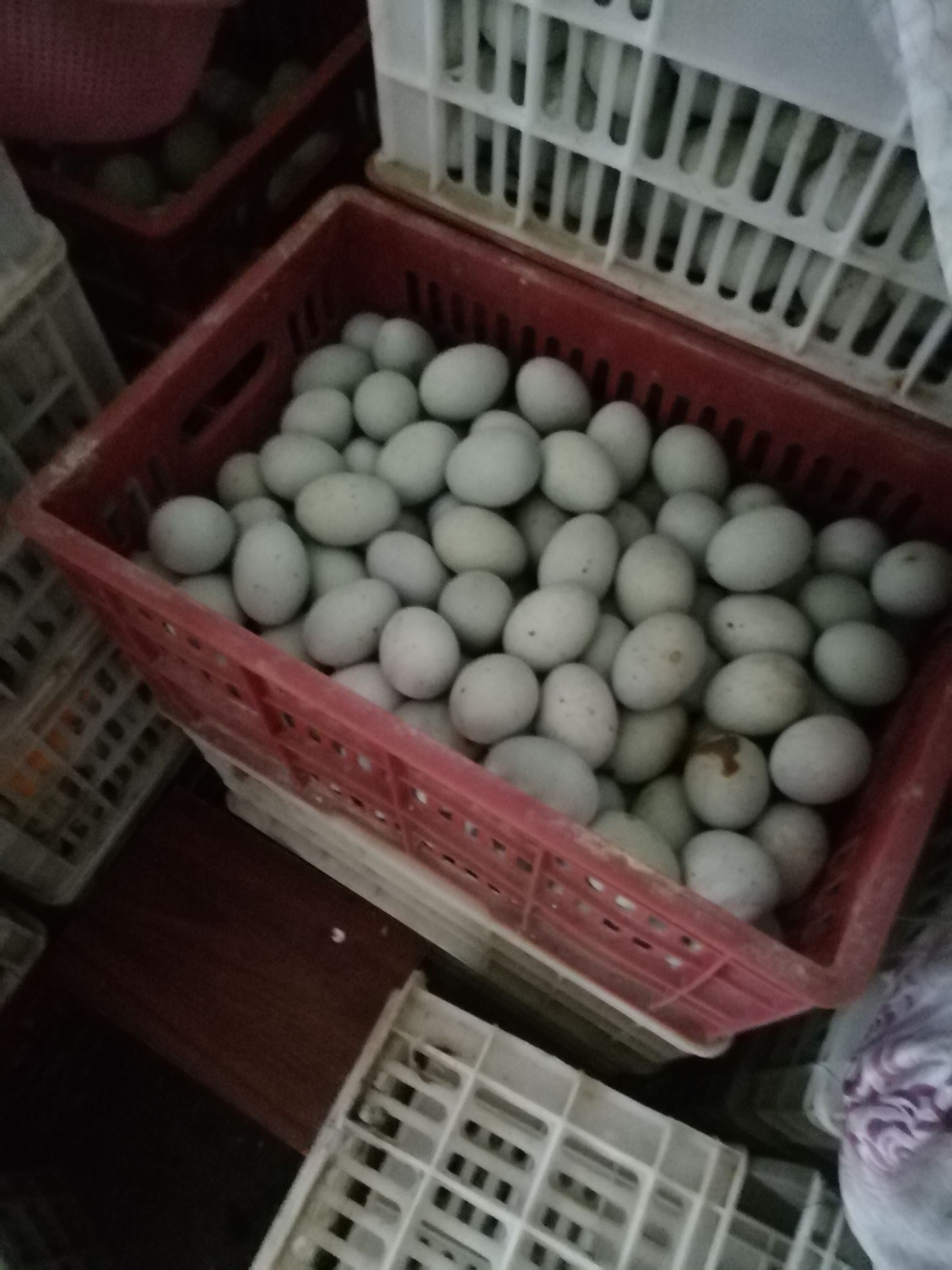  销售松花糖心硬心皮蛋