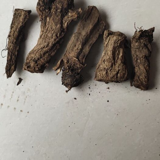 巫溪云木香 统货木香。