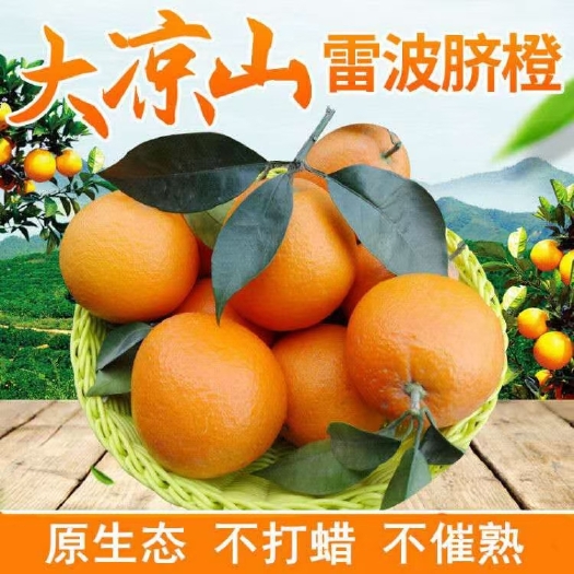 雷波县貌美如花是你，
味美多汁是你，
唇齿留香亦是你
“雷波脐橙