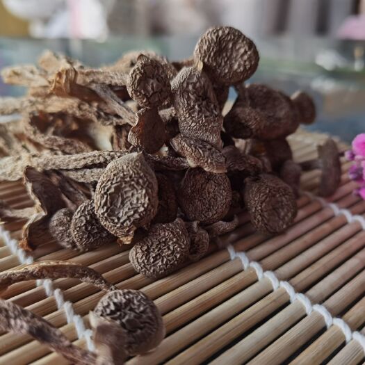 鹿茸菇  鹿茸菌可以炒  煲汤  口感有点脆