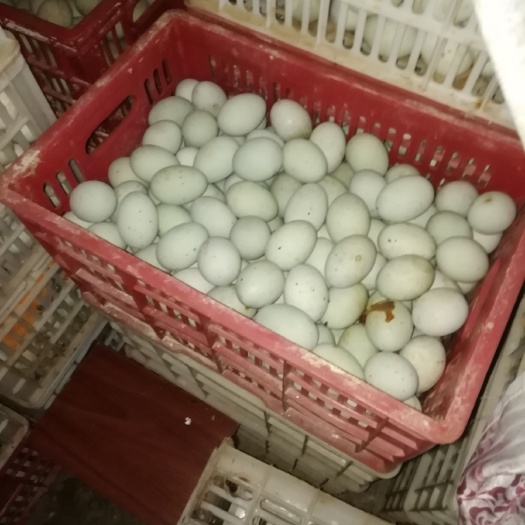 天门市无铅皮蛋
