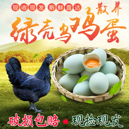 望江县包邮正宗散养绿壳乌鸡蛋农家纯粮新鲜乌骨鸡蛋草鸡蛋初生柴土鸡蛋