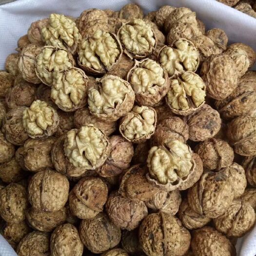 义乌市薄皮101核桃 云南薄皮核桃