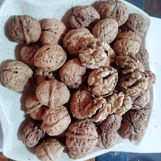 昆明薄皮核桃  20年新货核桃新鲜薄皮云南漾濞麻子果