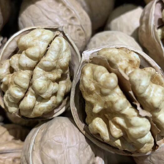 西安新疆185核桃  新疆特产薄皮核桃1斤装