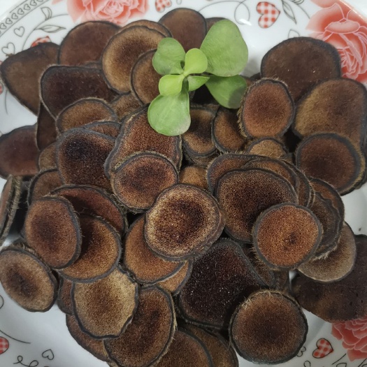  花鹿鹿茸片粉质好100克起包邮