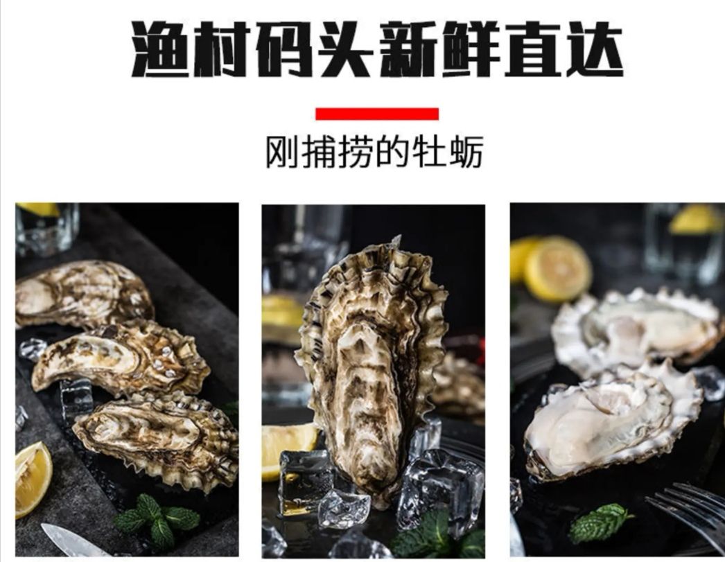 三倍体生蚝  乳山市生蚝 刺身蚝 场地直销  支持在线交易