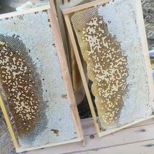 武平县天然百花蜜，假一赔十！需要的联系我！