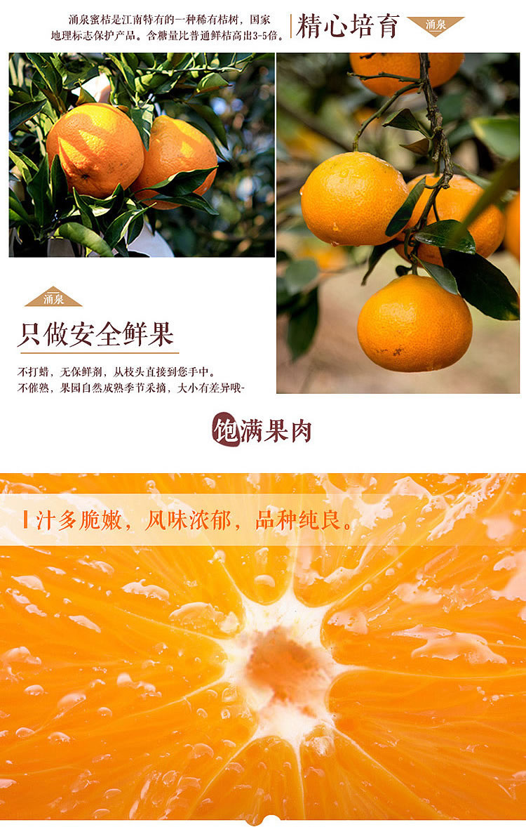 包邮～浙江临海涌泉蜜桔，无核宫川蜜橘 非沙糖桔子