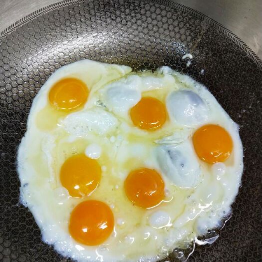 松滋市散养土鸡蛋绿壳蛋包邮【舌尖上的美味】