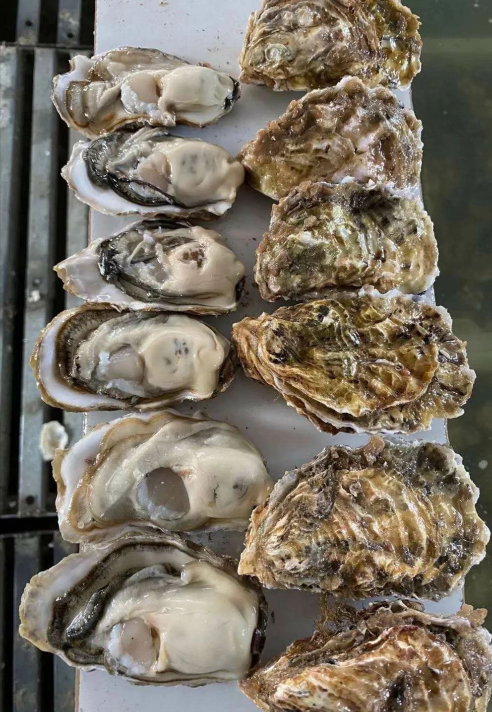 三倍体生蚝  乳山市生蚝 刺身蚝 场地直销  支持在线交易