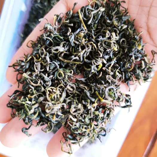 芜湖松阳香茶 香茶:毛尖