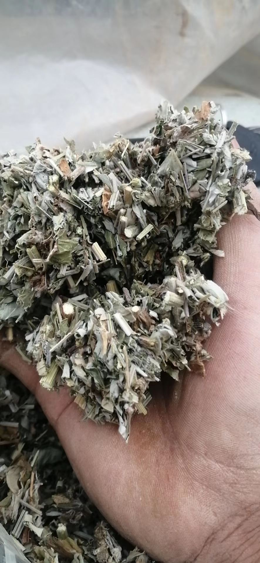 中前期全棵艾切段0.5-0.8刀口漂亮