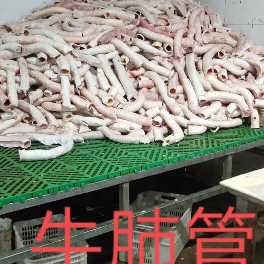 大厂县牛黄喉  肺管，常年有货大量批发
