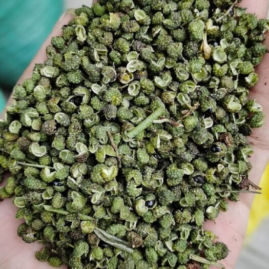 永善县云南特级青红花椒，金阳特级青花椒