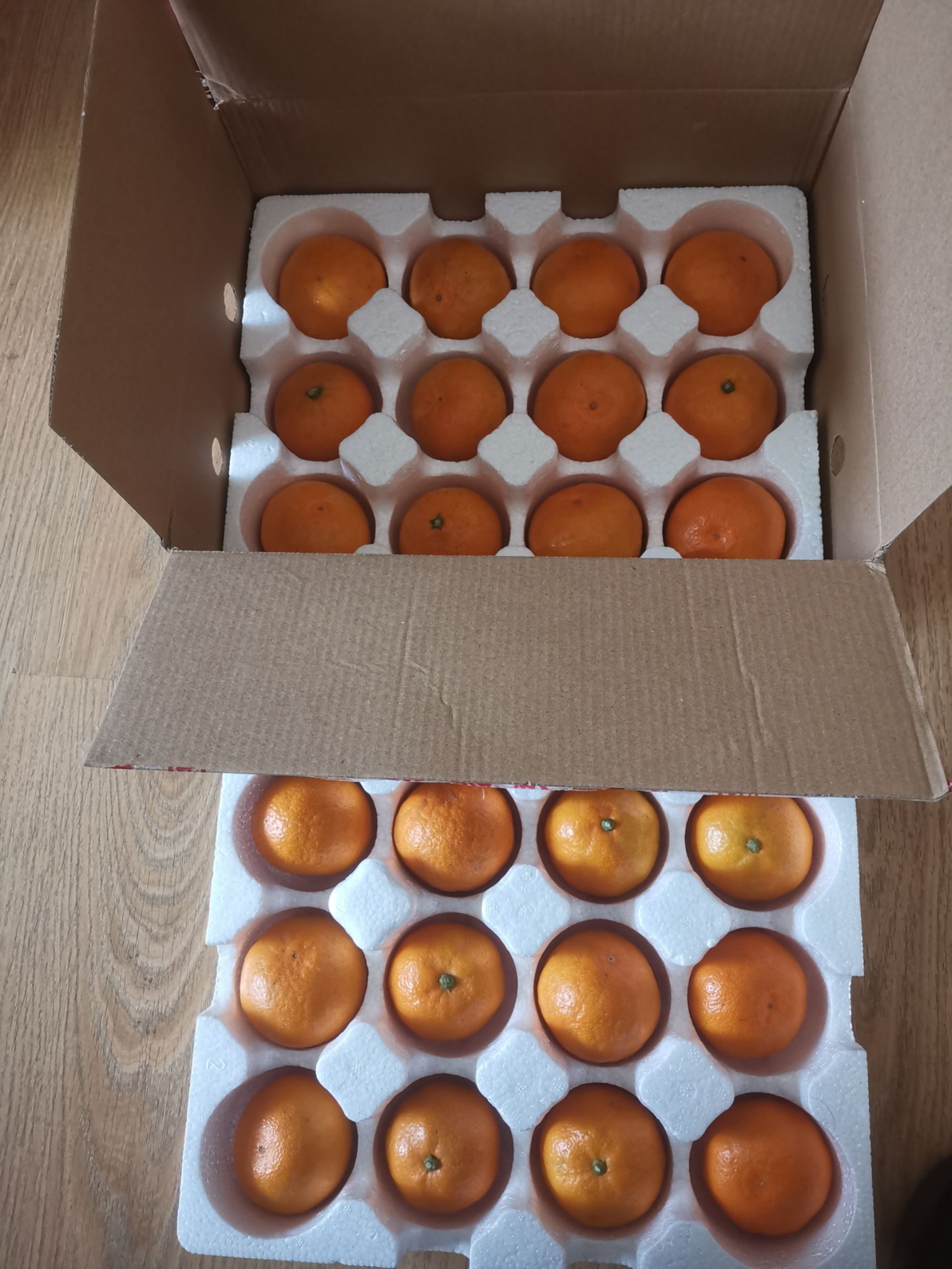 包邮～浙江临海涌泉蜜桔，无核宫川蜜橘 非沙糖桔子