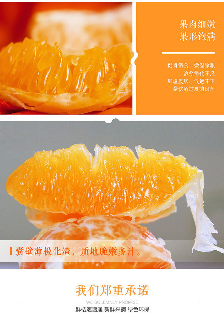 包邮～浙江临海涌泉蜜桔，无核宫川蜜橘 非沙糖桔子