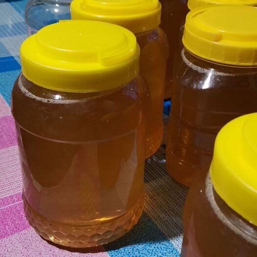 尚志市椴树蜜  自己家养蜂生产出的纯蜂蜜保真保纯