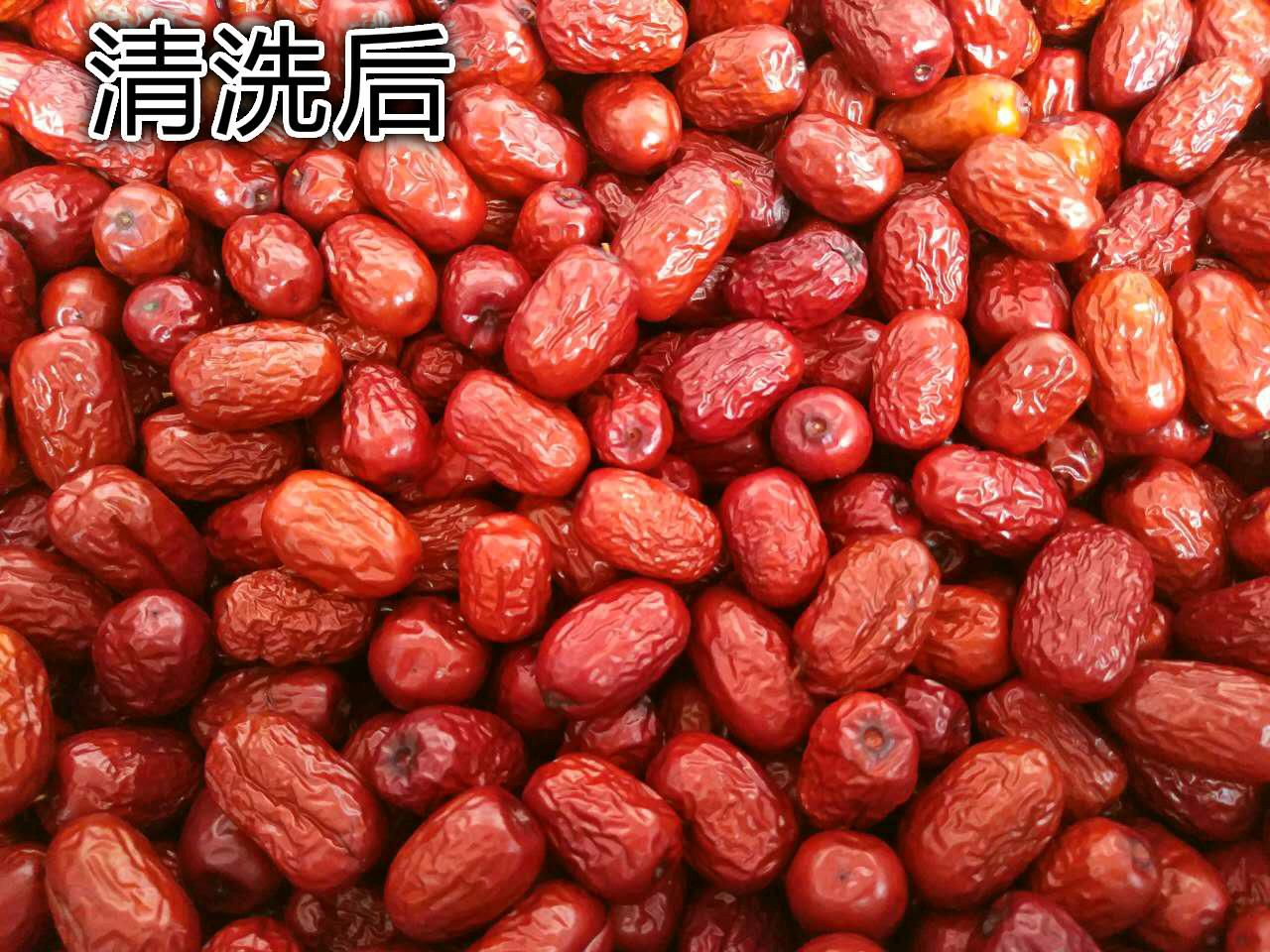新疆红枣 24个月以上 