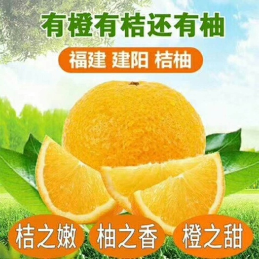  建阳桔柚礼盒装武夷山特产农家自产自销基地直供桔子柚子