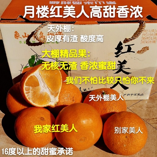 象山县蜜桔  红美人柑橘正宗象山柑桔蜜爱媛果冻橙自家果园直发
