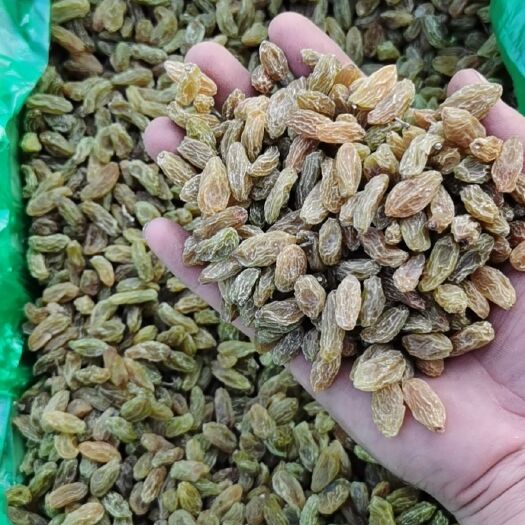 郑州无核葡萄干  整体中大颗粒，干度高，颗粒大，饱满度好，颜色统一无杂色和黑子