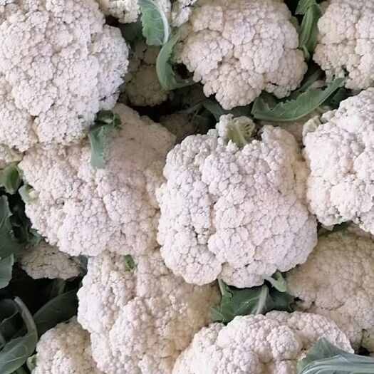 天门市白花菜花  优质小米青埂散花便宜了！
