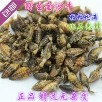 韶关 金沙牛