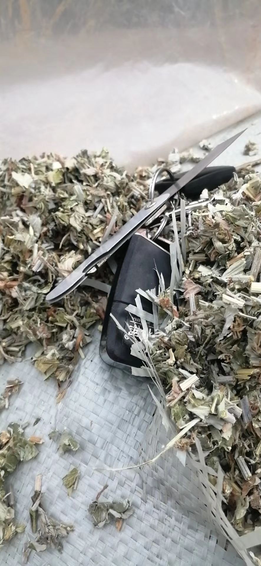 中前期全棵艾切段0.5-0.8刀口漂亮