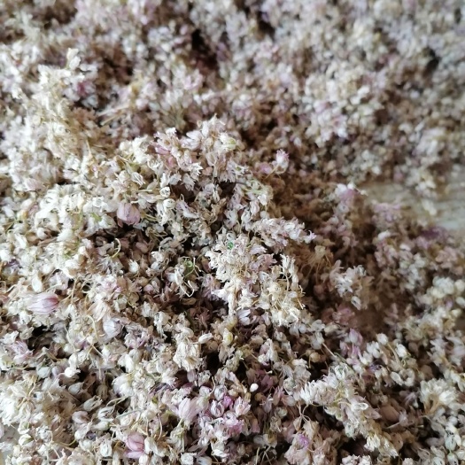 包头大自然调料  扎蒙花