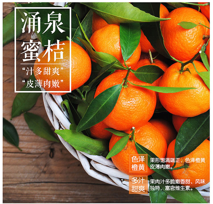 包邮～浙江临海涌泉蜜桔，无核宫川蜜橘 非沙糖桔子