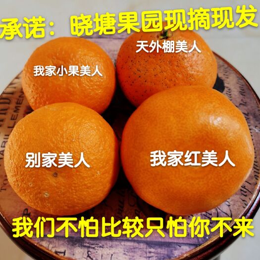 象山县红美人柑桔  正宗象山红美人蜜橘桔子爱媛28晓塘月楼果园现摘现发