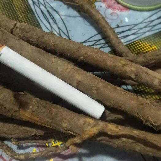 洪洞县黄芩  鲜货   三年