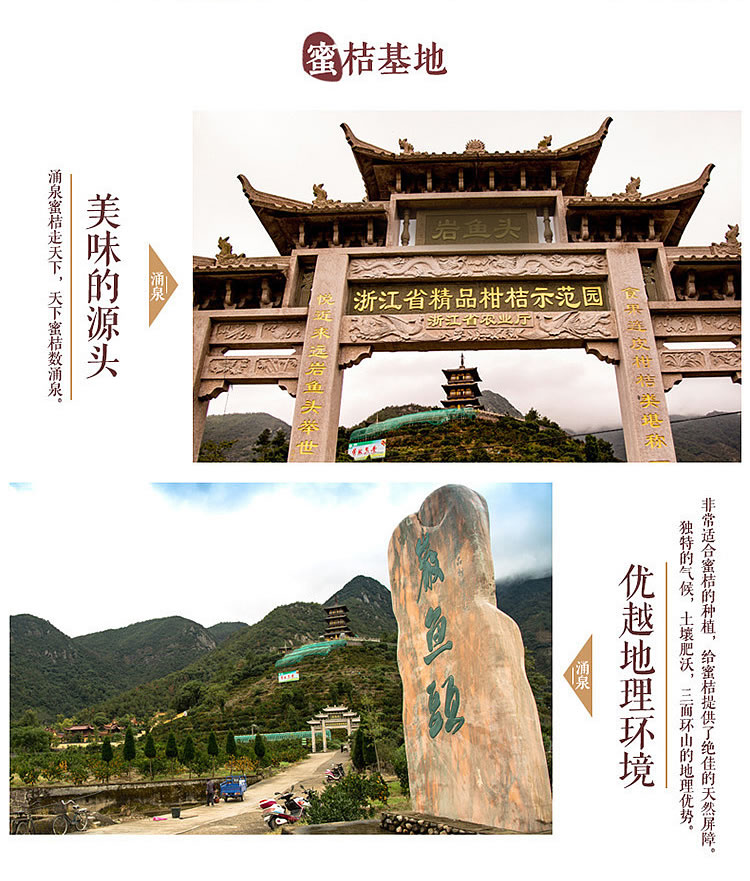 包邮～浙江临海涌泉蜜桔，无核宫川蜜橘 非沙糖桔子